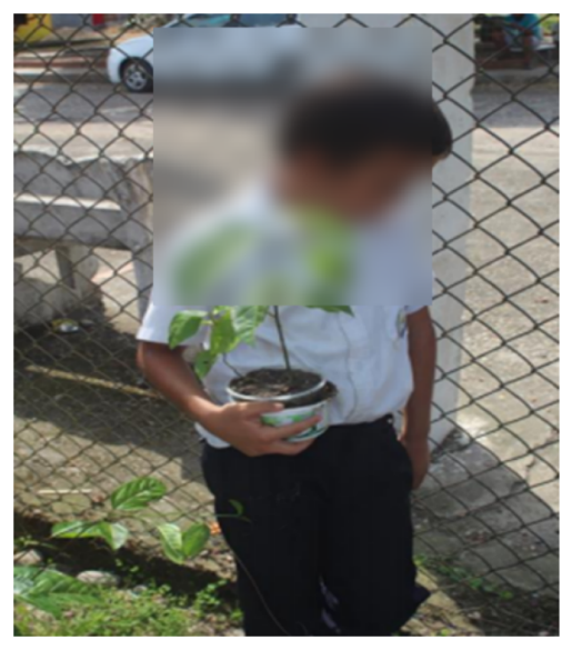 Imagen de salida
